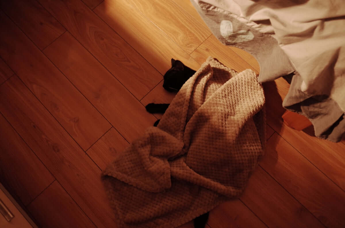 a cat laying on the floor under a blanket