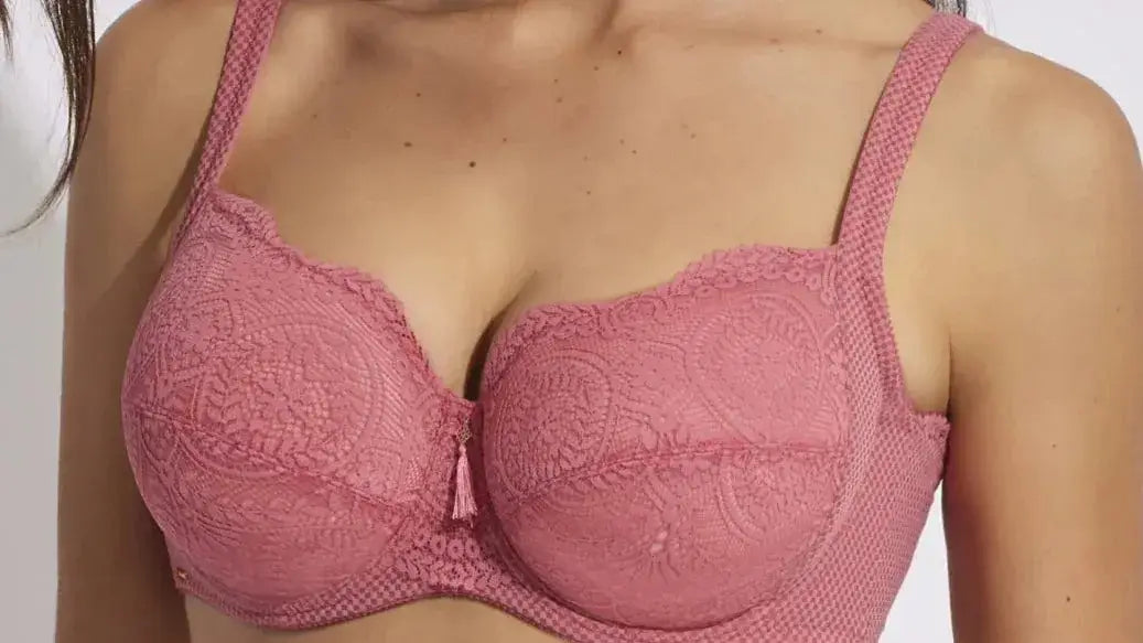 Novedades Corseteria Lita - Corseteria Lita